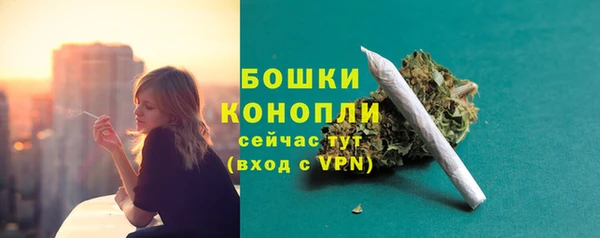 ешки Зеленодольск